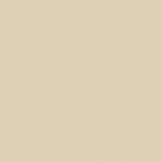 Beige Wall Paint 3D Texture Model for Interiors