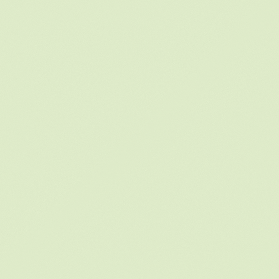 White Wall Paint -018