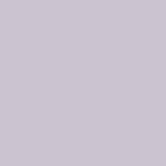 Wall Paint -022 in White