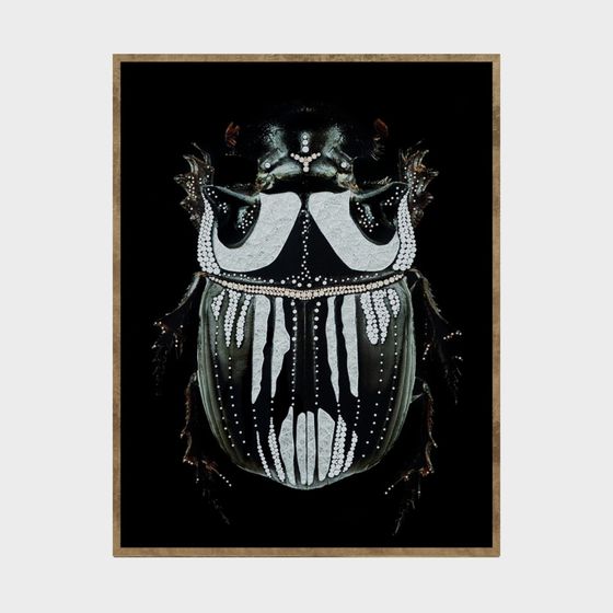 Stylish Low-Poly Beetle 3D Model for Creative Projects