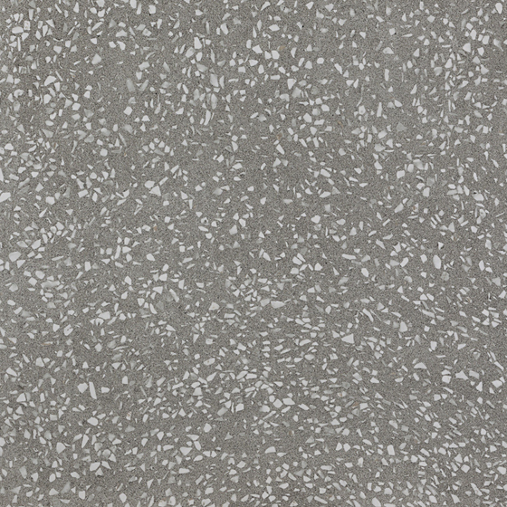 Terrazzo -008 3D Model in Gray