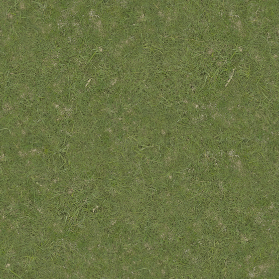 Grass Texture 3D Model