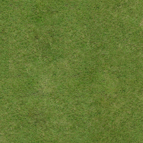 Green Grass 3D Model for Soft Decor
