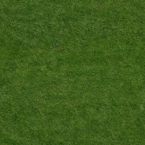 Grass 3D Model - Green Material