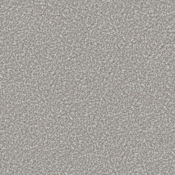 Granite 3D Model in White
