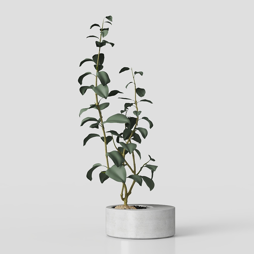 Modern green plant