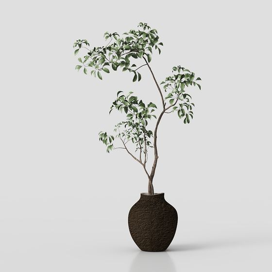 Low-Poly Indoor Potted Plant 3D Model