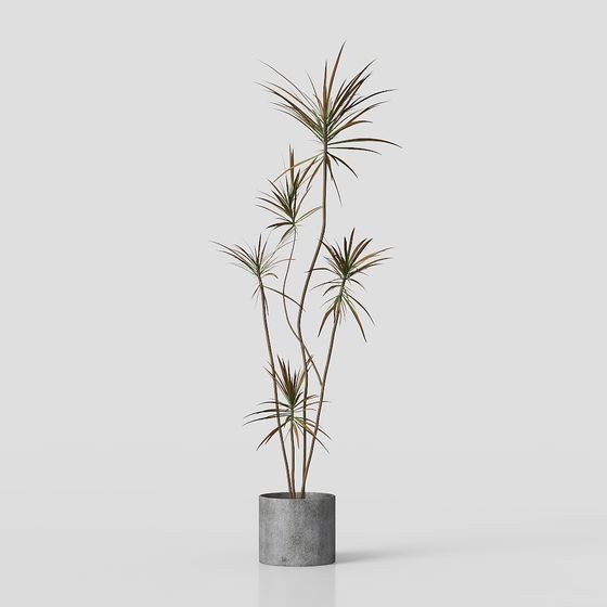 Elegant Low-Poly Plant Pot 3D Model