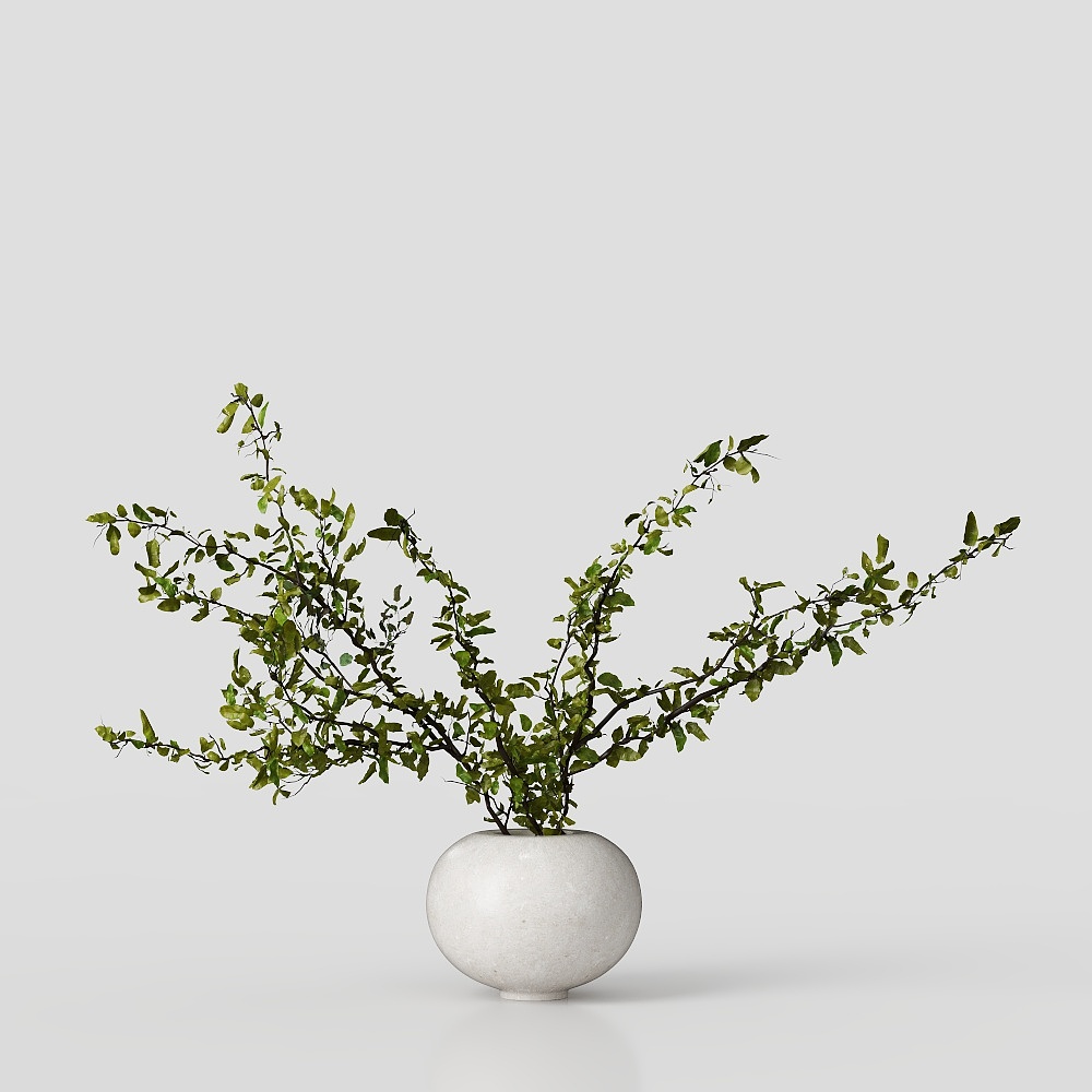 Natural Dance 3D Model Plant