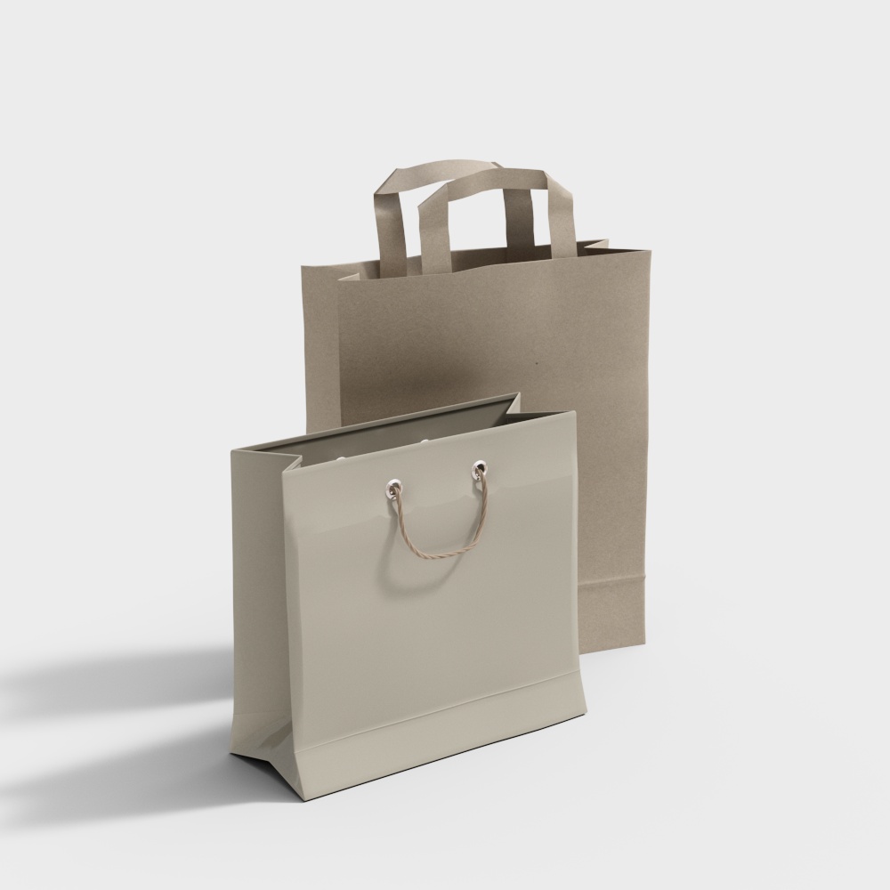 Modern simple paper bag