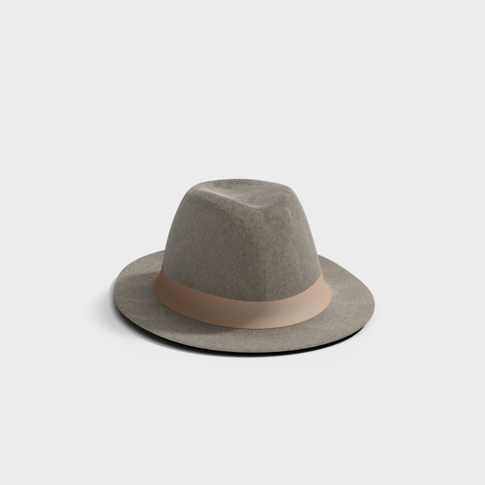 Classic Gray Hat 3D model