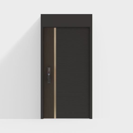 Elegant Black Gold Door 3D model