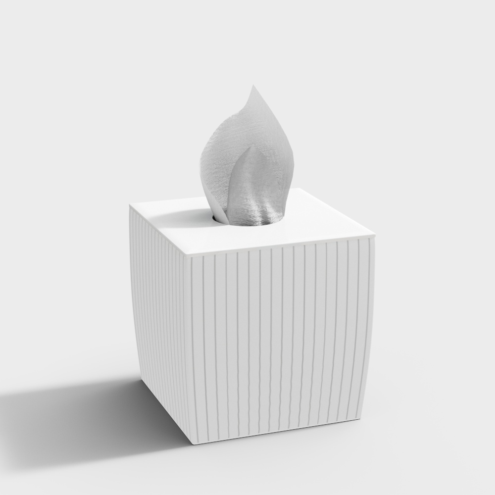 Modern Minimalist Tissue Box 3D model