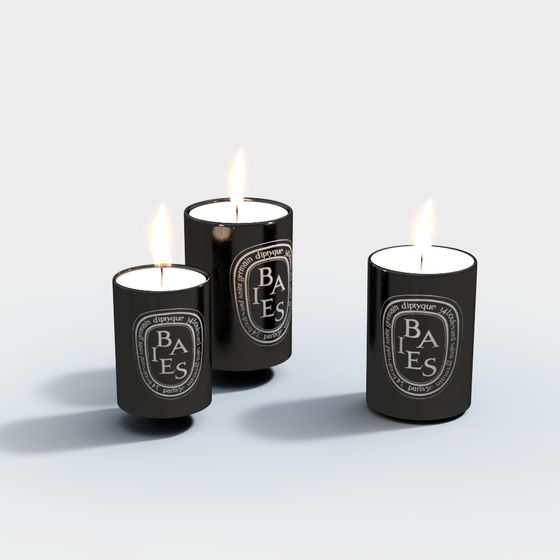 Sophisticated Candle 3D model with BAIES Design