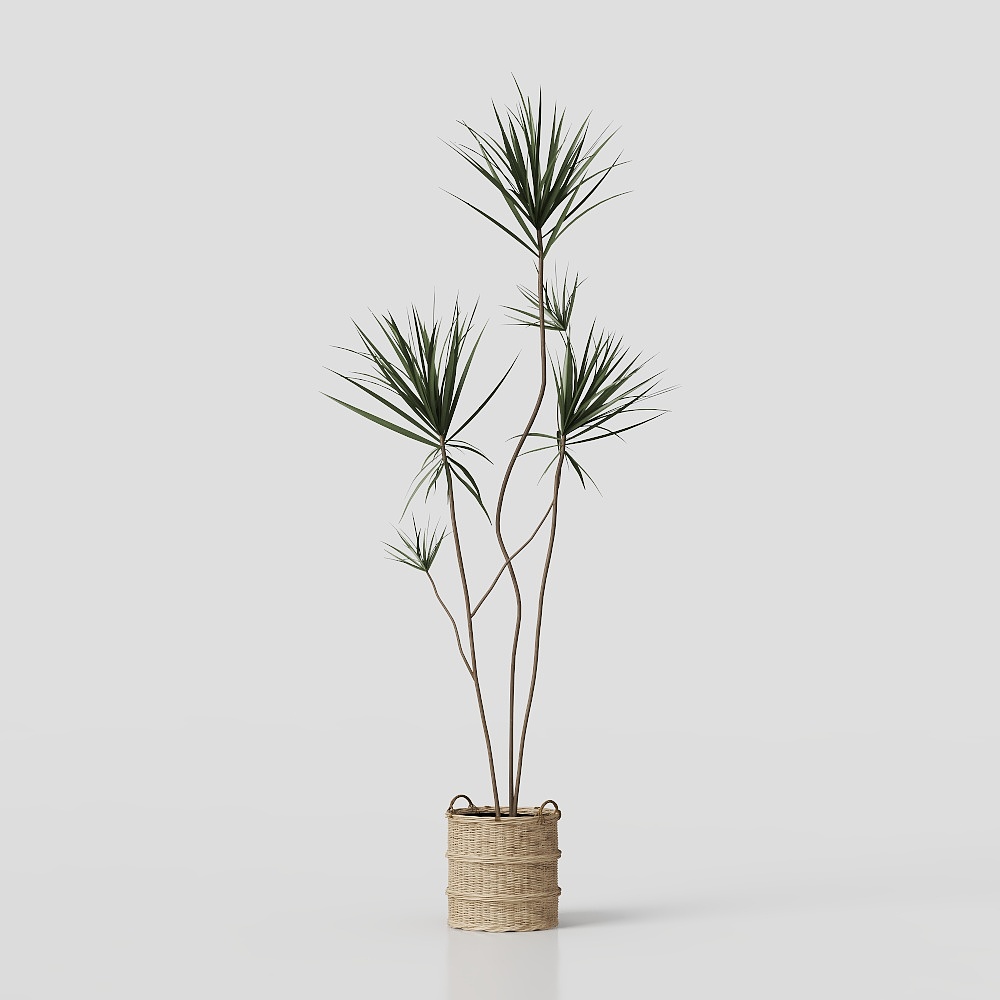 Tropical Potted Plant 3D Model