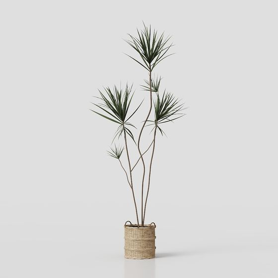 Tropical Potted Plant 3D Model for Creative Projects