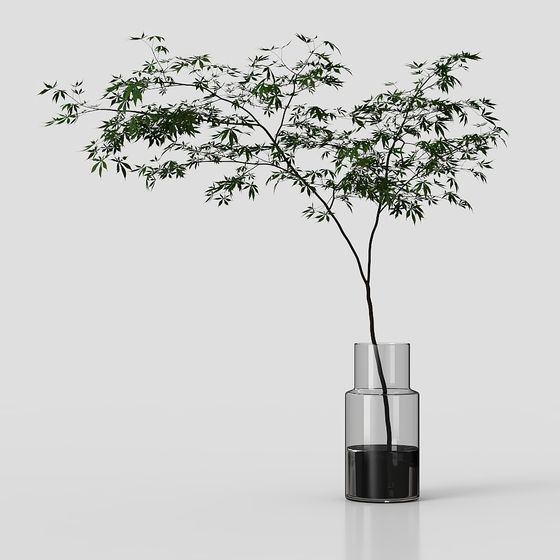 Stylish Plant in Glass Bottle 3D model for Creative Projects