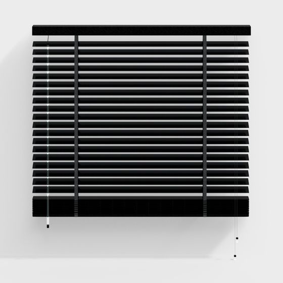Minimalist Black Shutter 3D model