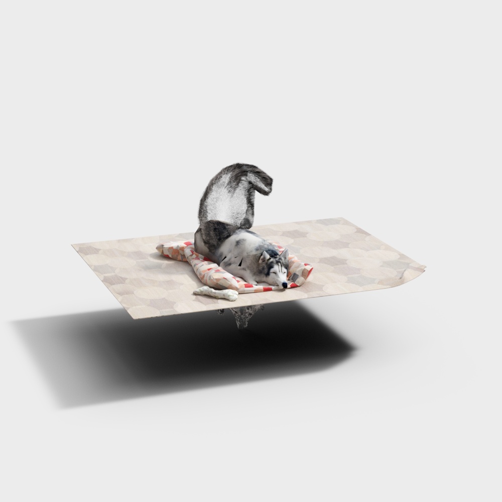 Napping Husky 3D model