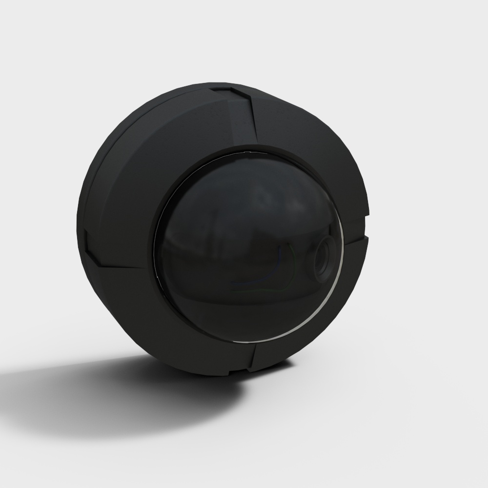 Surveillance cameras