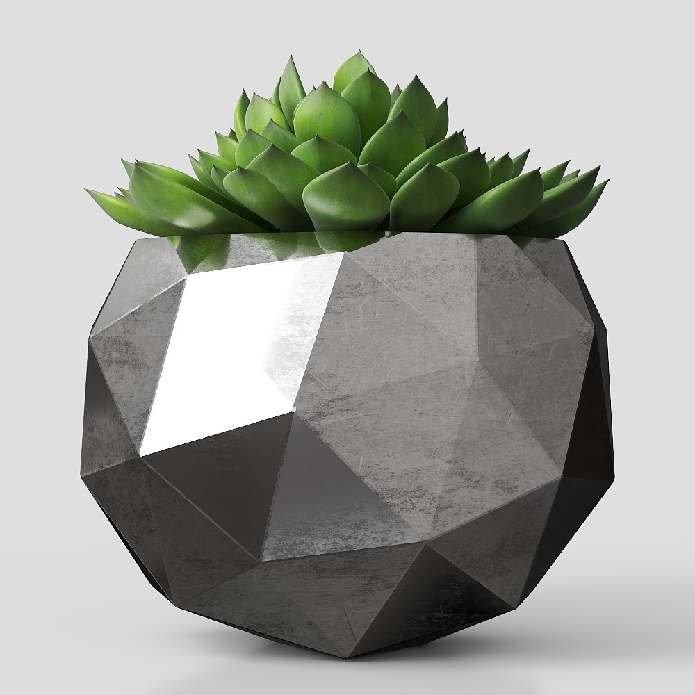 piante in vaso verdi