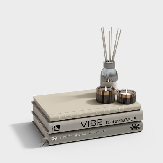 Tranquil Reading Nook 3D model