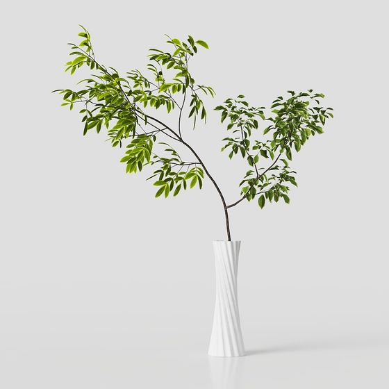 Vibrant Indoor Plant 3D model