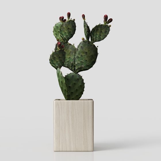 Desert Oasis Low Poly Cactus 3D model