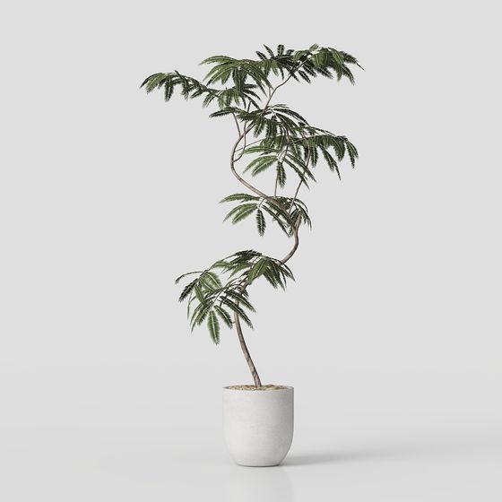 Vibrant Indoor Plant 3D model