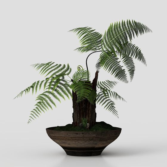 Forest Spirit 3D model