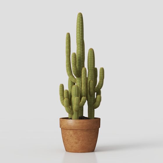 Realistic Cactus 3D Model for Creative Projects