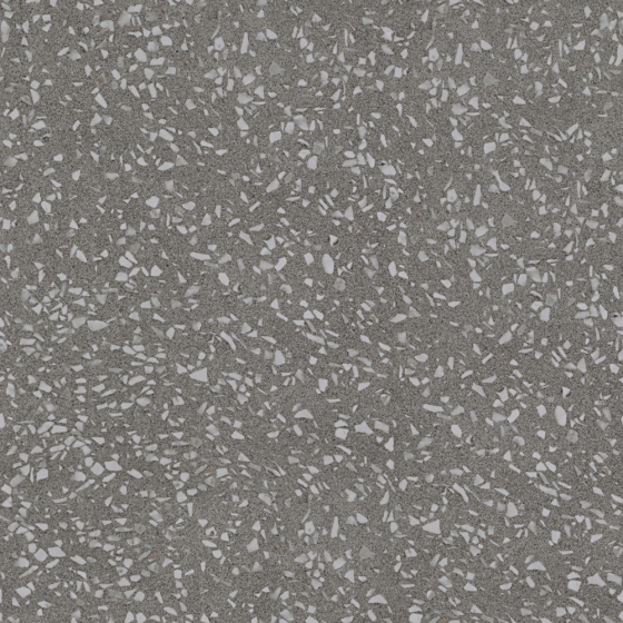 Terrazzo -020 3D Model in Gray
