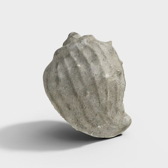 Ocean's Gem 3D Model - Realistic Shell Design