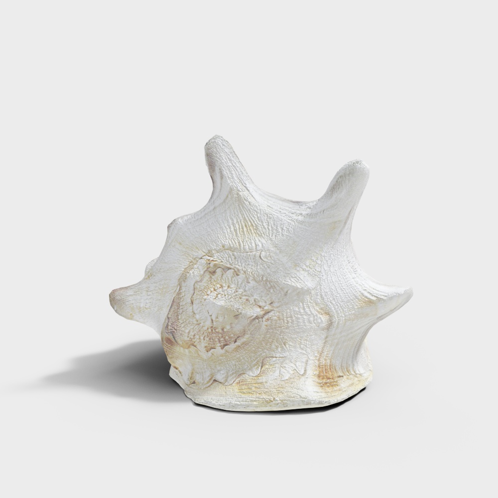 Realistic Low-Poly Shell 3D Model for Creative Projects