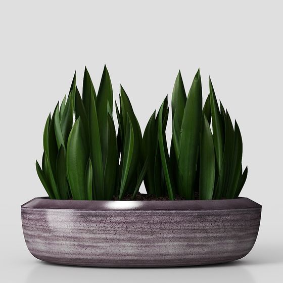 Elegant Minimalist Planter 3D model for Creative Spaces
