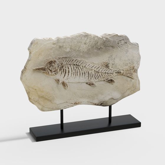 Fossil Fish 3D model