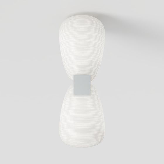 Streamlined Dualbody 3D model