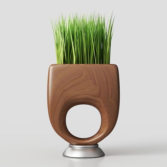 pianta in vaso moderna