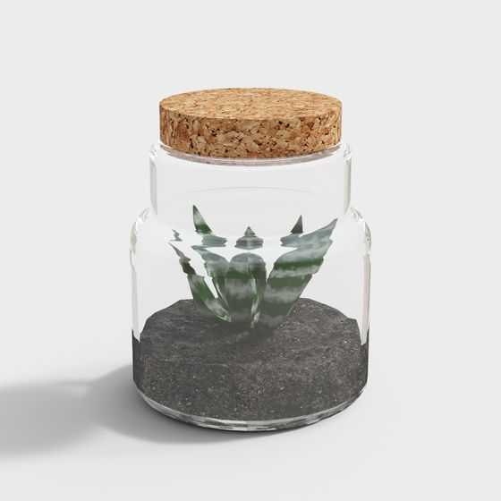 Glass Jar Plant 3D model