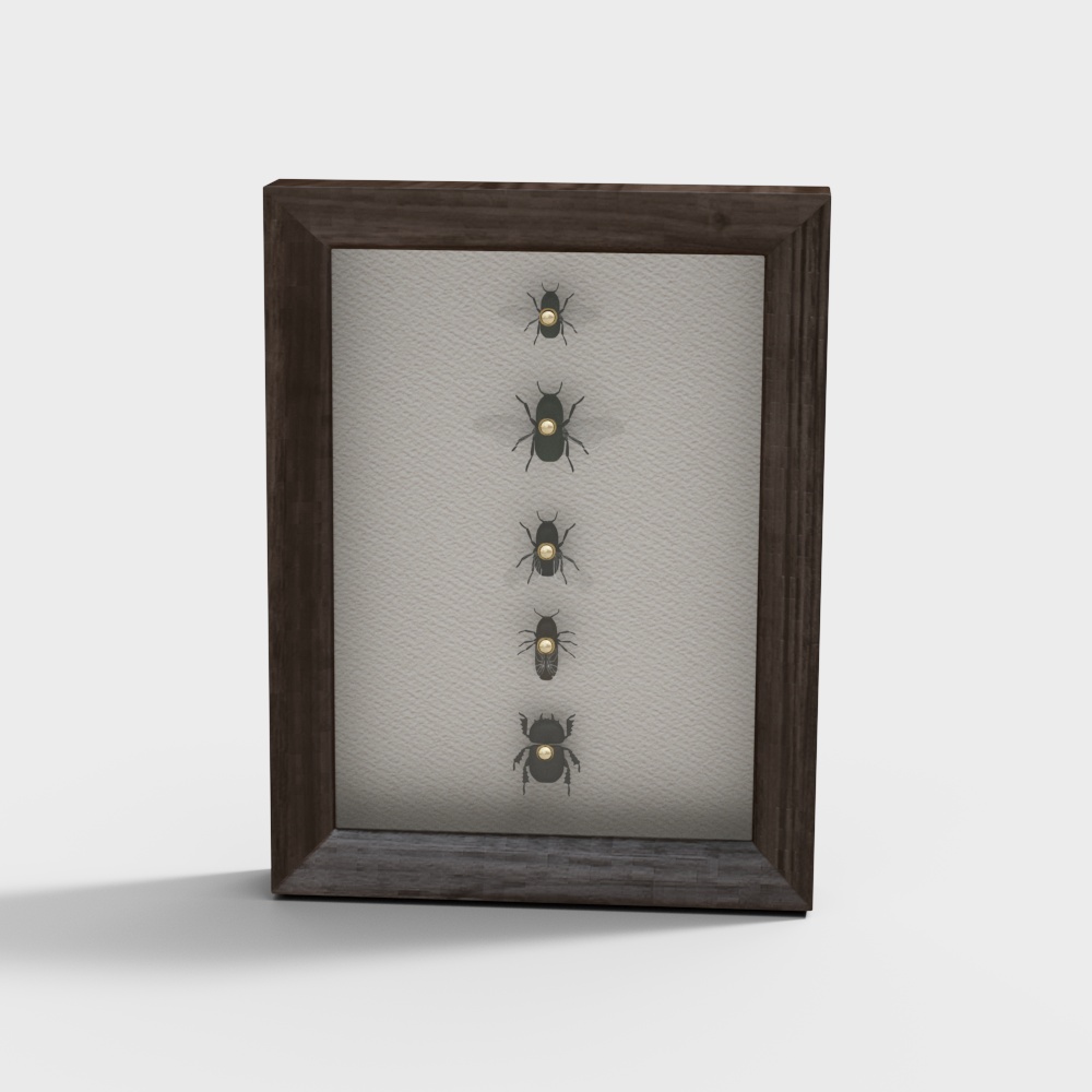 Charming Insect Specimen Frame 3D model