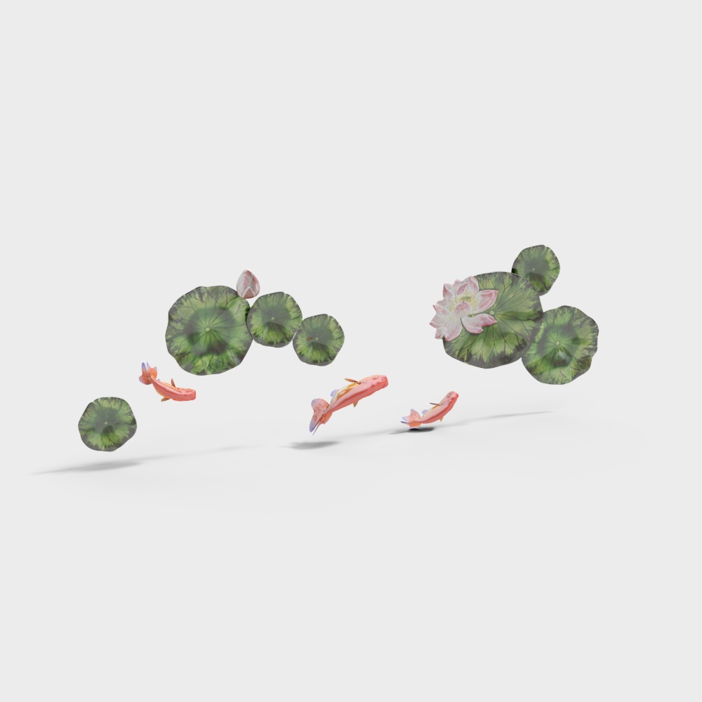 Fish flower lotus leaf