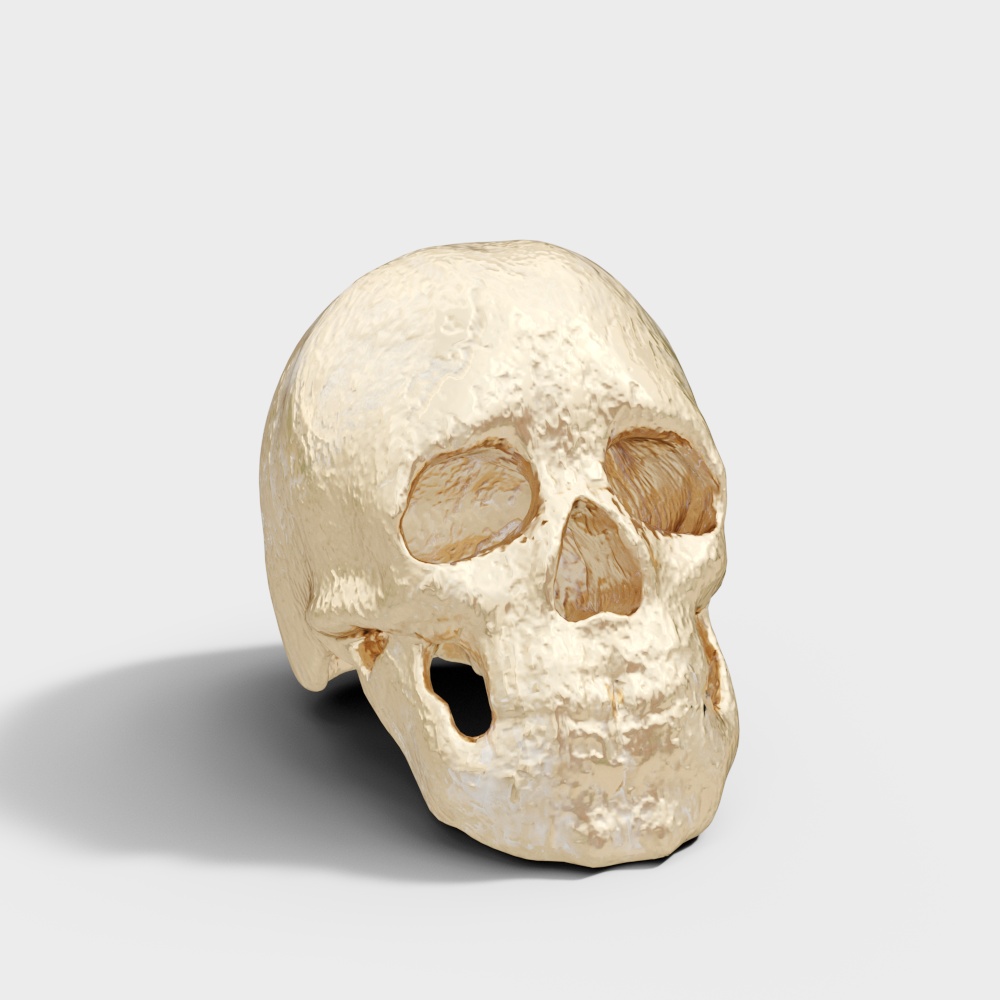 metal skull decoration