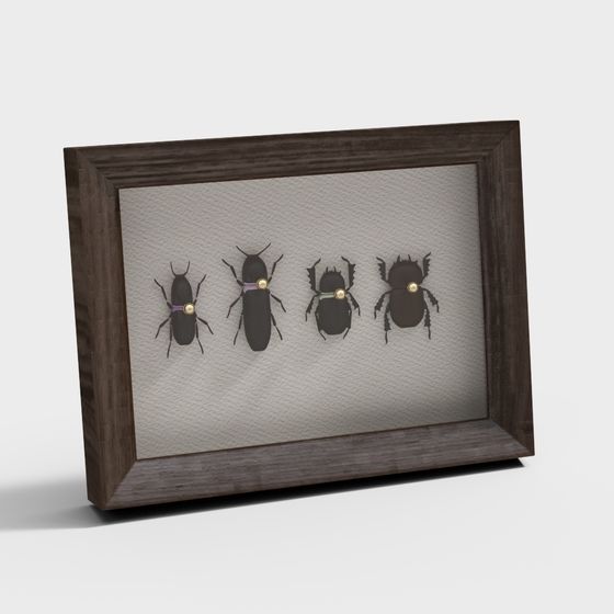 Colorful Insect Specimen 3D Model