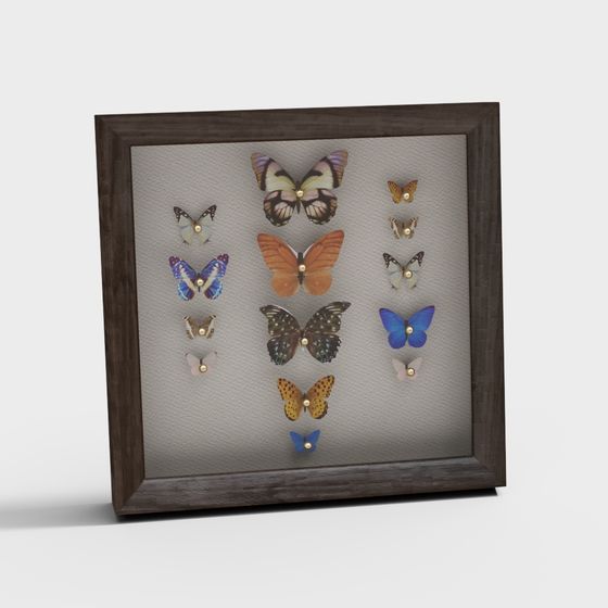 Captivating Butterfly Specimen 3D Model