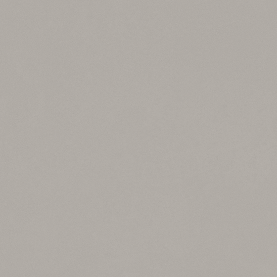 Premium Wall Paint 3D Model in White