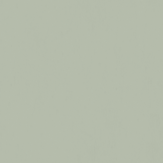 Wall Paint 3D Model - 043 in White