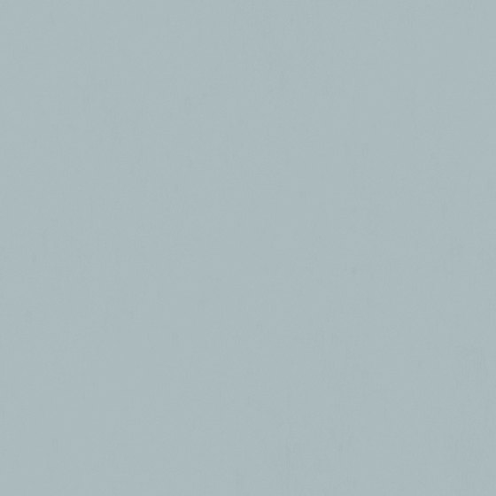Wall Paint 3D Model - White