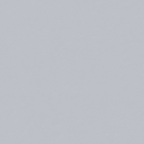 Wall Paint 3D Model - White Color