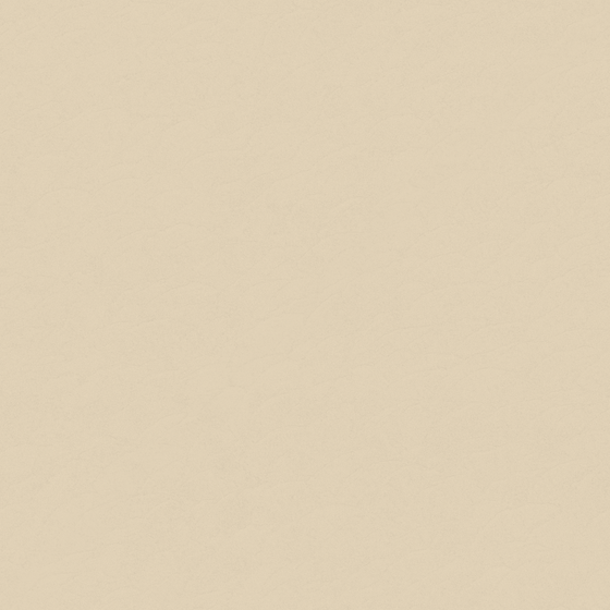 Wall Paint -048 3D Model in Beige