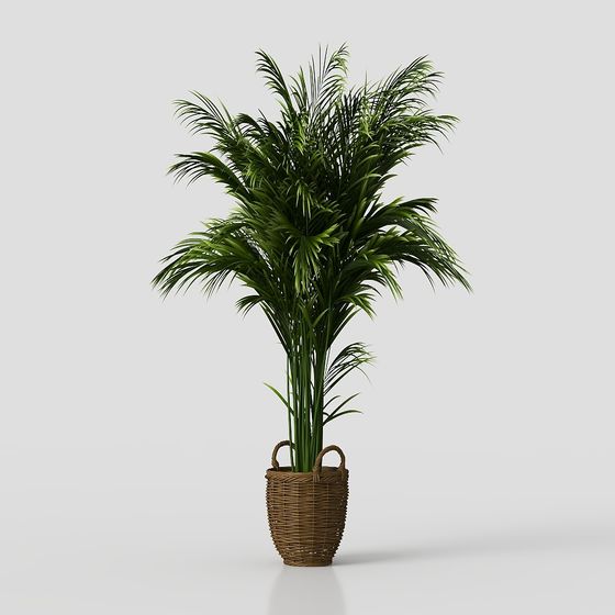 Low-Poly Indoor Plant 3D model for Fresh Interiors